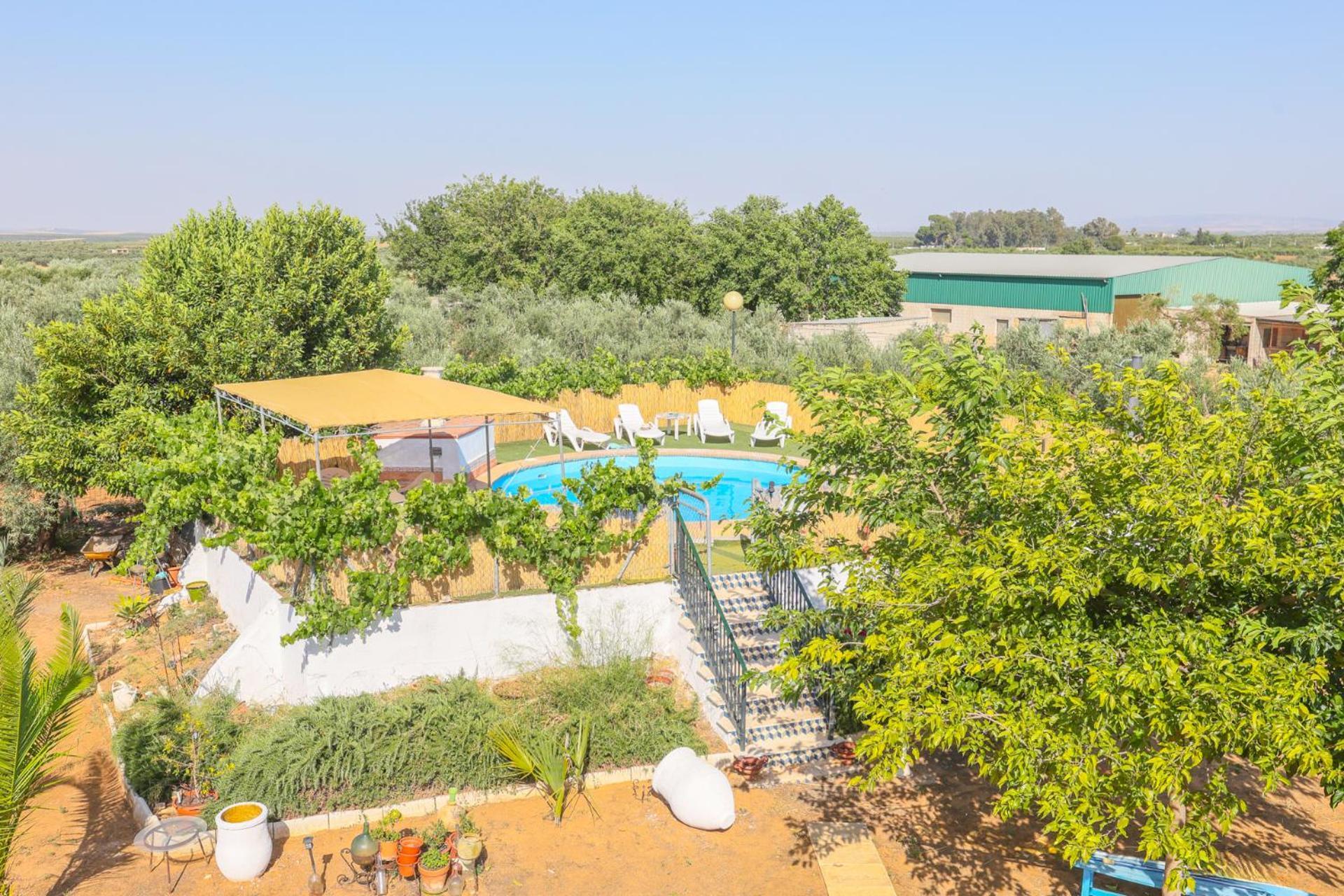 Casa Rural Los Miradores Marchena  Dış mekan fotoğraf