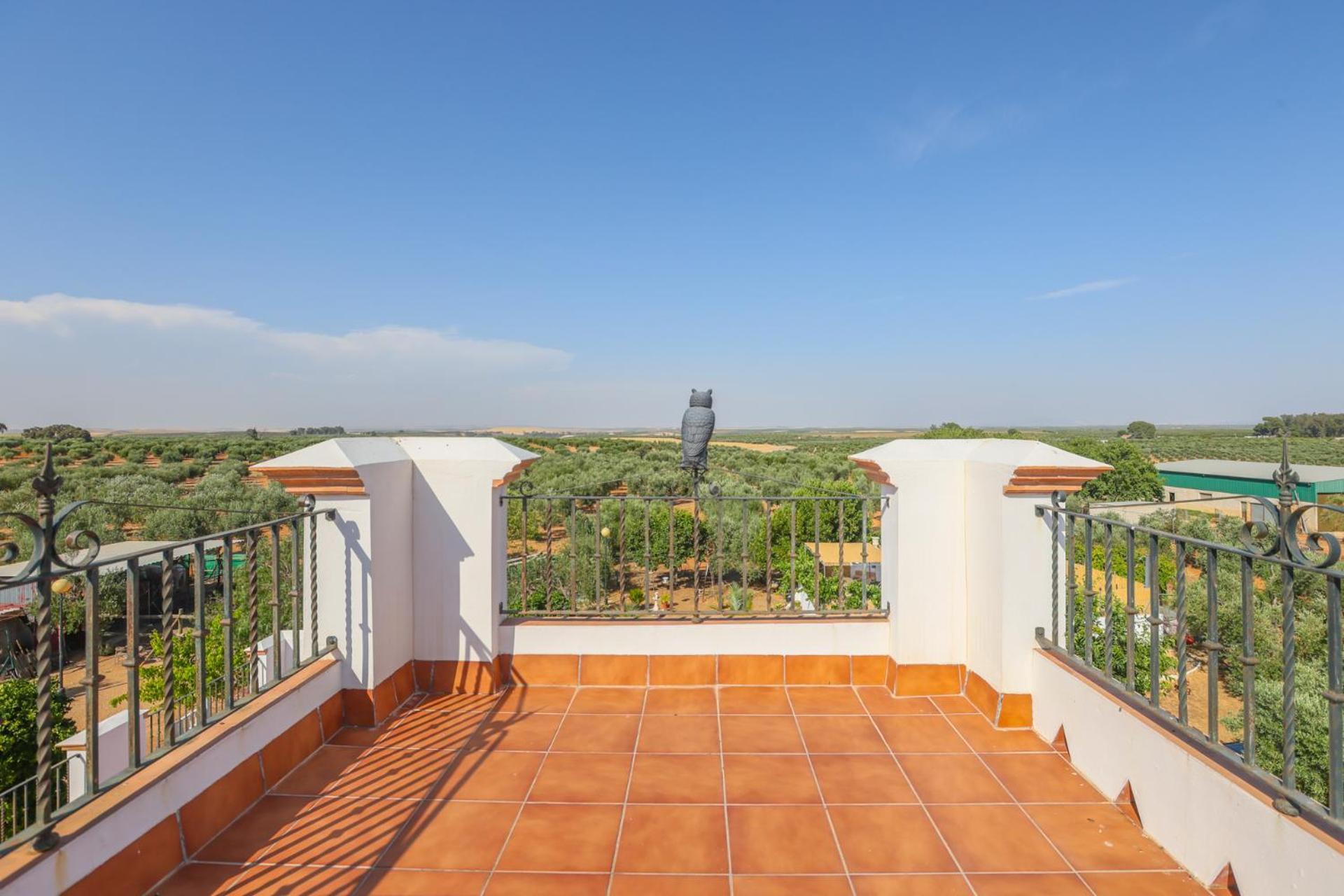 Casa Rural Los Miradores Marchena  Dış mekan fotoğraf